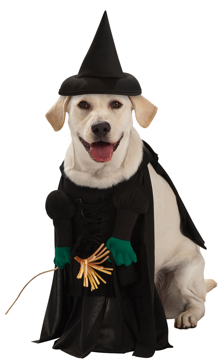 Wicked Witch Pet Costume