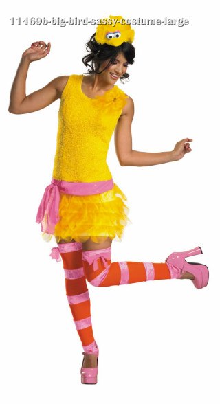 Sassy Big Bird Costume