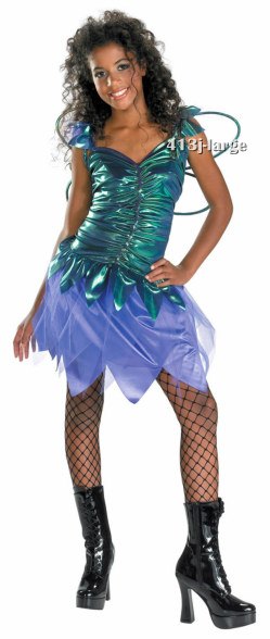 Teen Sassy Fairy Costume