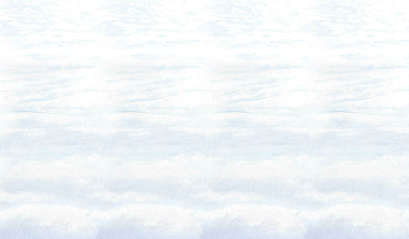 30' Snowscape Backdrop 30' Snowscape Backdrop