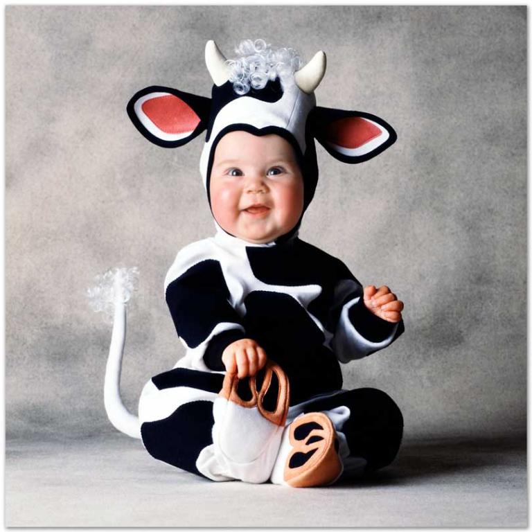 Tom Arma Cow