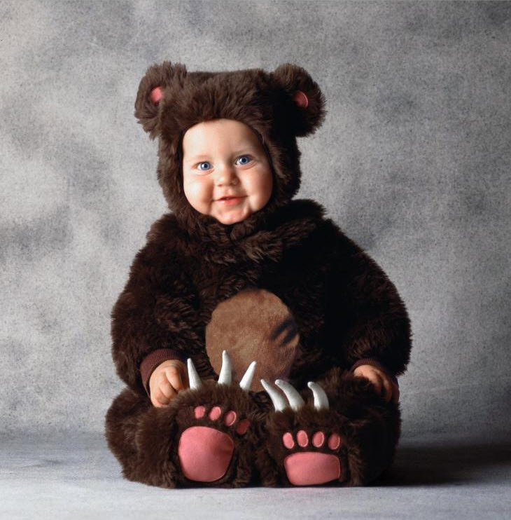 Tom Arma Brown Bear